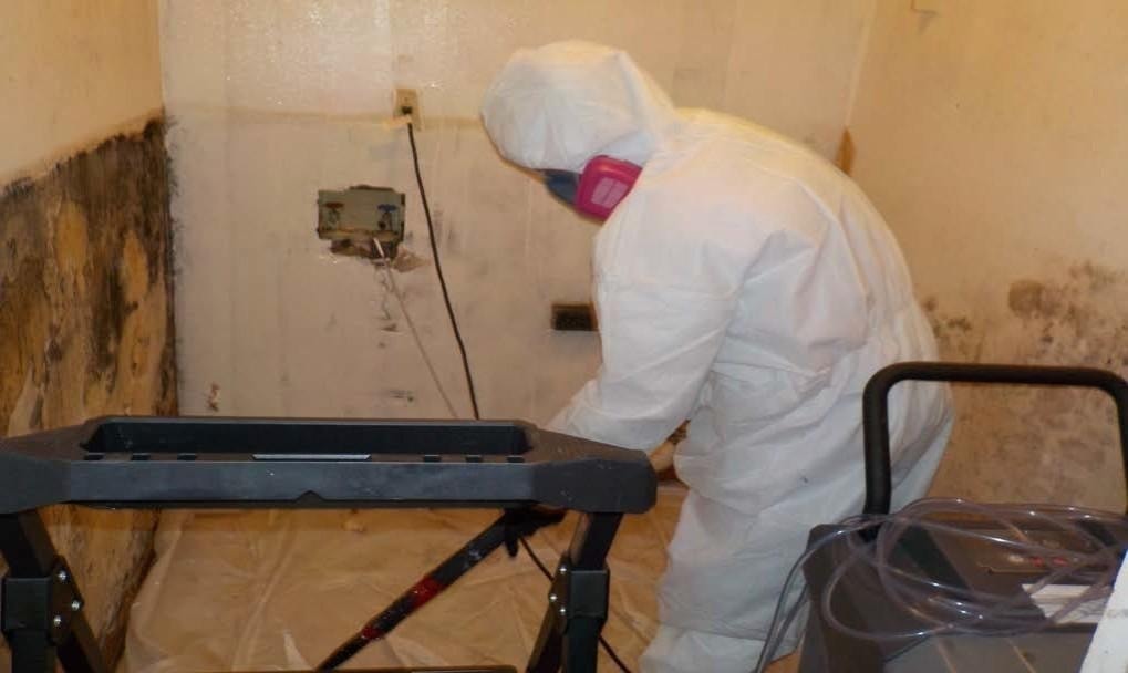 Sunspections remediation technician removing ceiling material